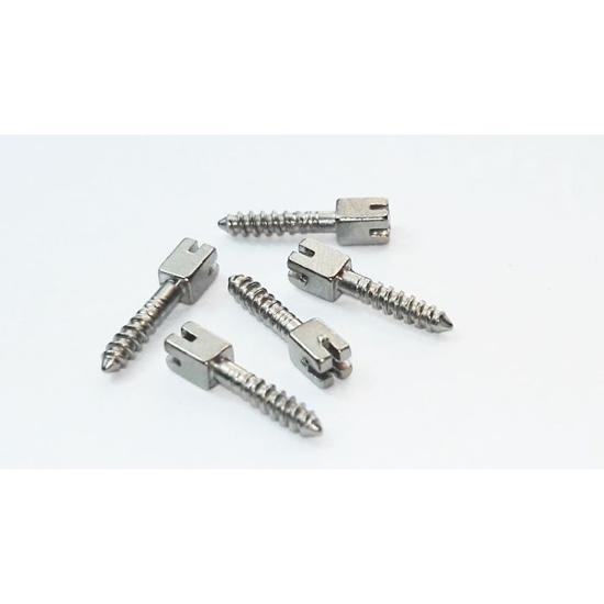 SCREW POST 5307 BTE100