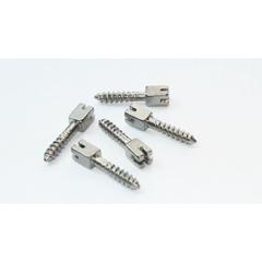 SCREW POST 5311 BTE100