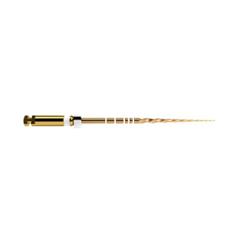 PROTAPER GOLD S2 21MM