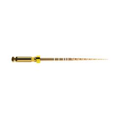 PROTAPER GOLD F1 25MM