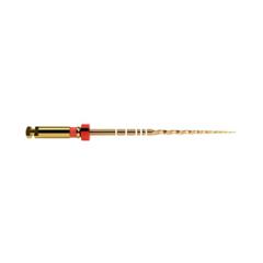 PROTAPER GOLD F2 25MM